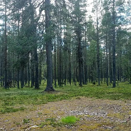 Kuukkeli * Vuotso